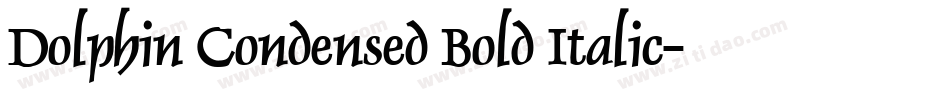 Dolphin Condensed Bold Italic字体转换